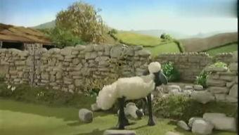 小羊爆料最新视频大全,最新视频大全精彩瞬间大盘点 第3张 小羊爆料最新视频大全,最新视频大全精彩瞬间大盘点 第3张